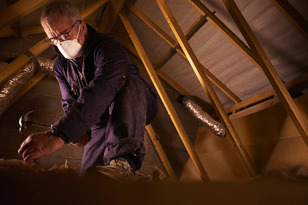 Best Insulation Maintenance and Repair in Plum, PA